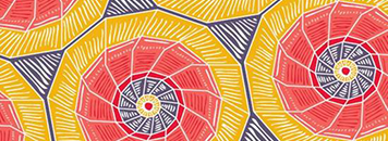 wbc-AoC_westpac-weave_356x130 (1)